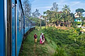 Sri Lanka, Uva province, the train line that connects Badulla to Kandy crossing mountain regions and tea plantations