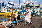 Sri Lanka, Eastern province, Valaichchenai, fishing harbour