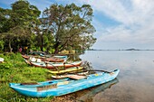 Sri Lanka, North Central Province, Polonnaruwa, Parakrama Samudra lake