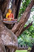 Sri Lanka, nördliche Zentralprovinz, archäologische Stätte von Polonnaruwa, UNESCO-Welterbe