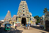 Sri Lanka, Eastern province, Trincomalee (or Trinquemalay), Pathirakali Amman Hindu temple