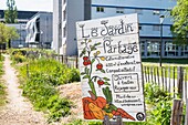 Frankreich, Rhône, Villeurbanne, Campus La Doua, Gemeinschaftsgarten Le Doua Vert