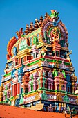 Sri Lanka, Northern province, Jaffna, gopuram of Muthu Vinayagar Hindu temple