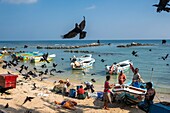 Sri Lanka, Nordprovinz, Halbinsel Jaffna, Point Pedro ist eine Stadt am nördlichsten Punkt der Insel, auf dem Rückweg vom Fischen
