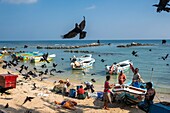 Sri Lanka, Northern province, Jaffna peninsula, Point Pedro is a town located at the northernmost point of the island, coming back from fishing