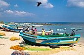 Sri Lanka, Northern province, Jaffna peninsula, Point Pedro is a town located at the northernmost point of the island, coming back from fishing