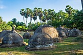 Sri Lanka, Northern province, Jaffna, Kantharodai archaeological site, remains of former Kadurugoda Buddhist temple