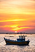 Sri Lanka, Nordprovinz, Jaffna, Sonnenuntergang über dem Fischereihafen