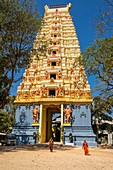 Sri Lanka, Northern province, Jaffna, Keerimalai, Keerimalai Naguleswaram Hindu temple dedicated to Shiva