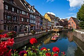 France, Haut Rhin, Colmar, Little Venice in Colmar, view of the Lauch (river) from the bridge of the rue des Ecoles