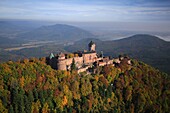France, Bas Rhin, the Upper Koenigsbourg castle on the foothills of the Vosges and overlooking the plain of Alsace, Medieval castle of the 12th century, It is classified as a historical monument (aerial view)