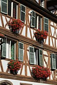 France, Haut Rhin, Turckheim, Turckheim, Detail of a facade Place Turenne