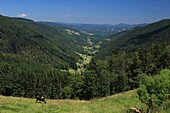 Frankreich, Haut Rhin, Hautes Vosges, Col des Bagenelles, Blick auf das Tal von Sainte Marie aux Mines