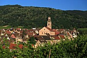Frankreich, Haut Rhin, Route des Vins d'Alsace, Riquewihr zu den schönsten Dörfern Frankreichs gekürt