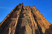 France, Bas Rhin, Strasbourg, The facade of Notre Dame Cathedral at sunset