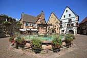 France, Haut Rhin, Route des Vins d'Alsace, Eguisheim, labeled the Most Beautiful Villages of France, Castle Square, the fountain topped by a statue of Pope Leon IX