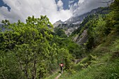 Frankreich, Isere, Trieves, Devoluy-Massiv, Wanderung zur Fetoure-Höhle, der Pisse-Wasserfall vom Charbonneyre-Grat aus