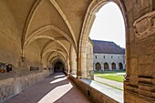 Frankreich, Ain, Bourg en Bresse, Königliches Kloster von Brou, restauriert im Jahr 2018, der zweite Kreuzgang besagt, dass die Menagerie