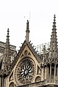 France, Paris, area listed as World Heritage by UNESCO, Ile de la Cite, Notre Dame Cathedral after the fire of April 15, 2019