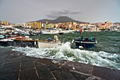 Italy, Campania, Bay of Naples, Torre del Greco, the port, in the background, Vesuvius