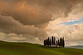 Italien, Toskana, Bezirk Siena, Orcia-Tal, von der UNESCO zum Weltkulturerbe erklärt, Hügel