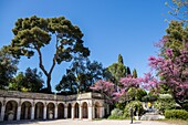 France, Alpes Maritimes, Nice, the Colline du Château Garden