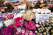 Frankreich, Alpes Maritimes, Nizza, von der UNESCO zum Weltkulturerbe erklärt, Altstadt von Nizza, Markt Cours Saleya, Blumenmarkt