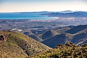 France, Var, Frejus, seen from Esterel massif on the bay of Saint Raphael and the agglomeration of Frejus and Saint Raphael, in the background the peninsula of Saint Tropez