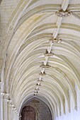 France, Maine et Loire, Fontevraud l'Abbaye, Loire Valley listed as World Heritage by UNESCO, Abbey of Fontevraud, dated 12-17 th century, Cloister Ste Mary or Great Cloister