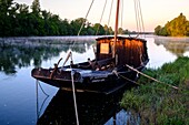 France, Indre et Loire, Loire Valley listed as World Heritage by UNESCO, Chouze sur Loire, the quay along the Loire river, traditional boats of the Loire river