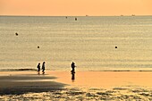 Frankreich, Seine Maritime, Le Havre, von Auguste Perret wiederaufgebaute Stadt, von der UNESCO zum Weltkulturerbe erklärt, der Strand