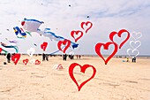 France, Pas de Calais, Opale Coast, Berck sur Mer, Berck sur Mer International Kite Meetings, during 9 days the city welcomes 500 kites from all over the world for one of the most important kite events in the world