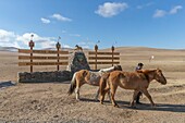 Mongolei, Hustai-Nationalpark, wo das Przewalski-Pferd (Equus caballus przewalskii oder Equus ferus przewalskii) ab 1993 im Khustain-Nuruu-Nationalpark ausgesetzt wurde, Eingang des Parks