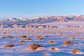 Mongolia, West Mongolia, Altai mountains