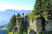 France, Isere, Regional Natural Park of Vercors, Autrans, Lans en Vercors, hike to the crest of Charande, blade of rocks on the ridge