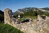 France, Isere, Massif du Vercors, Trieves, Regional Natural Park, hamlet ruin of Valchevriere high place of resistance during the war 39-45 and the rock of Ferriere