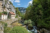 Frankreich, Isere, Massif du Vercors, Regionaler Naturpark das Choranches-Tal defile des Chartreux und der torrent de la Bourne