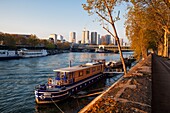 France, Paris, area listed as World Heritage by UNESCO, the banks of the Seine, Debilly port, Bir-Hakeim bridge in the background