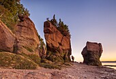 Canada, New Brunswick, Bay of Fundy, Hopewell Rocks, Flowerpot Rocks formed by the great tides of the Bay of Fundy, dawn