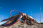 Kanada, New Brunswick, Northumberland Strait, Shediac, Statue des weltgrößten Hummers