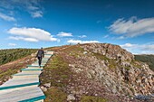Canada, Nova Scotia, Cabot Trail, Cape Breton Highlands National Park, walkway of the The Skyline Trail