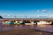 Canada, Nova Scotia, Advocate Harbour, fishing harbor on the Bay of Fundy