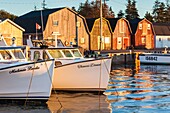 Canada, Prince Edward Island, Malpeque, small fishing harbor, dawn