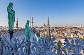 Frankreich, Paris, UNESCO-Welterbegebiet, Kathedrale Notre-Dame auf der Stadtinsel, Detail des Daches mit den Apostelstatuen im Hintergrund