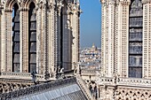 Frankreich, Paris, Weltkulturerbe der UNESCO, die Glockentürme der Kathedrale Notre-Dame auf der Stadtinsel