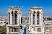 Frankreich, Paris, UNESCO-Welterbe, die Glockentürme der Kathedrale Notre-Dame auf der Stadtinsel von der Turmspitze aus gesehen, die Seine und Paris im Hintergrund