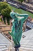 France, Paris, zone listed as World Heritage by UNESCO, Notre-Dame cathedral on the City island, view of the statue of architect Eugène Viollet-le-Duc as Siant Thomas see from the spire