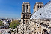 Frankreich, Paris, Weltkulturerbe der UNESCO, Kathedrale Notre-Dame auf der Stadtinsel, die Glockentürme und die fliegenden Strebepfeiler