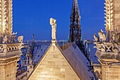 Frankreich, Paris, Welterbe der UNESCO, Kathedrale Notre-Dame auf der Stadtinsel, Wasserspeier und Turmspitze