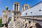 Frankreich, Paris, UNESCO-Welterbegebiet, Kathedrale Notre-Dame auf der Stadtinsel, die Glockentürme, das Dach und die fliegenden Strebepfeiler